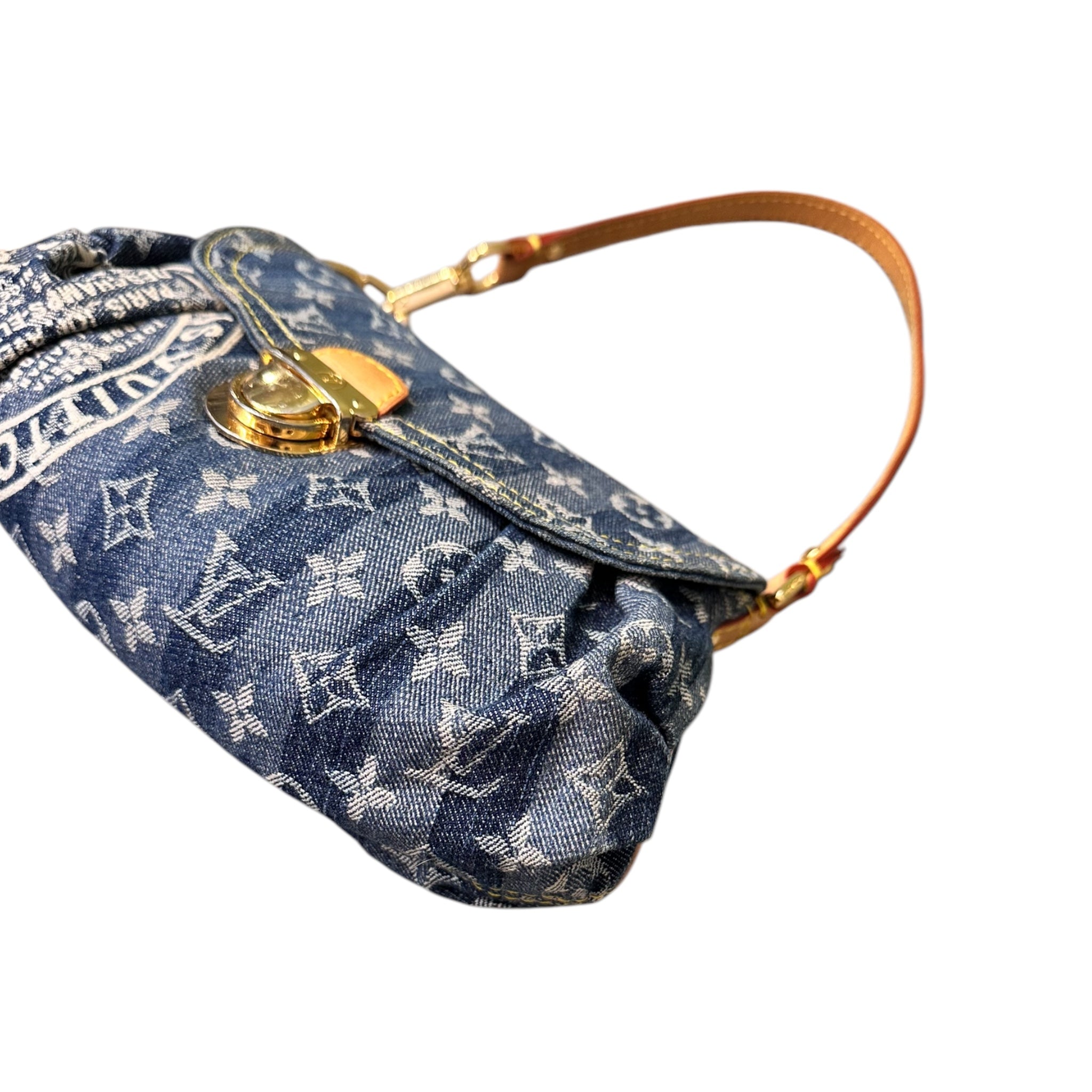 LOUIS VUITTON PLEATY RAYE