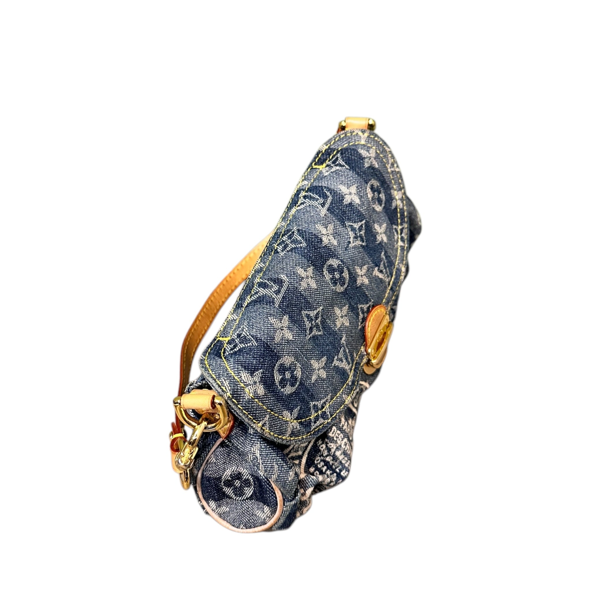LOUIS VUITTON PLEATY RAYE