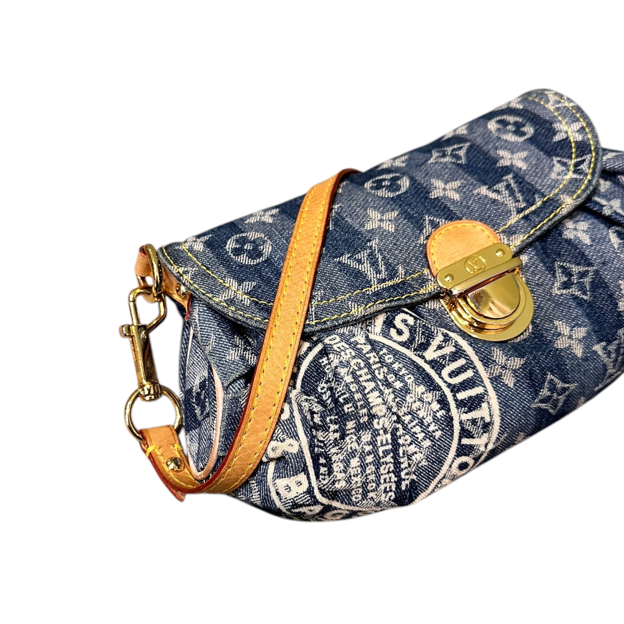 LOUIS VUITTON PLEATY RAYE